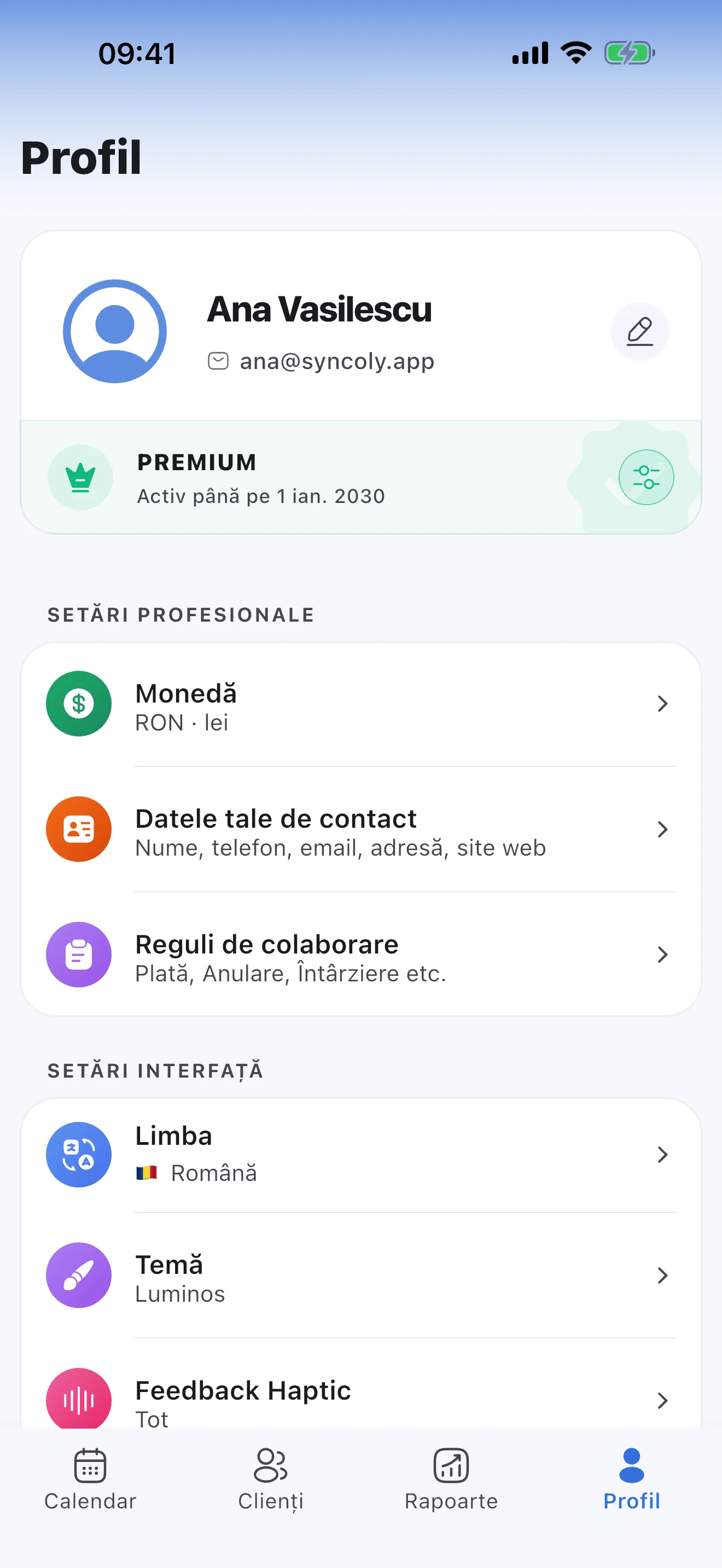 Setările profesionale din Syncoly: date de contact și reguli de colaborare